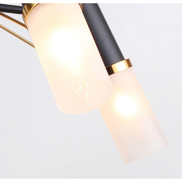 Потолочная люстра F-Promo Viator 2558-5P Фото № 6