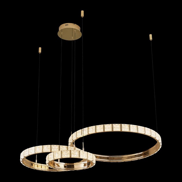 Подвесная светодиодная люстра Wertmark Vera WE458.03.383 Фото № 1