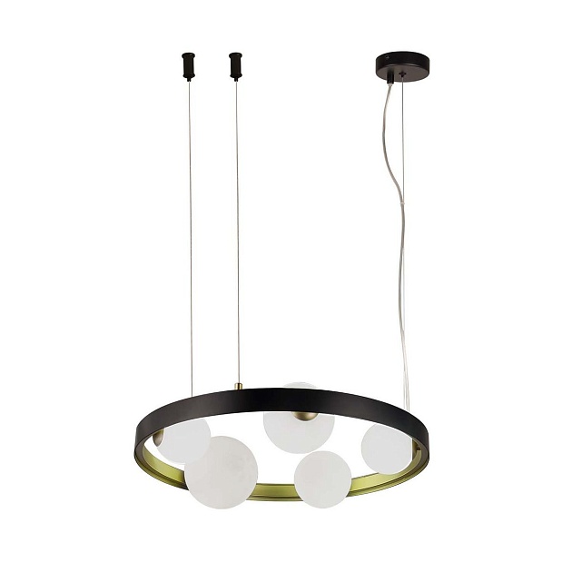 Подвесная люстра F-Promo Shanku 4628-5P Фото № 1