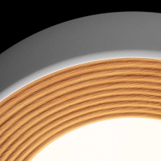 Потолочный светильник Loft IT Folk 10255/350 White 2