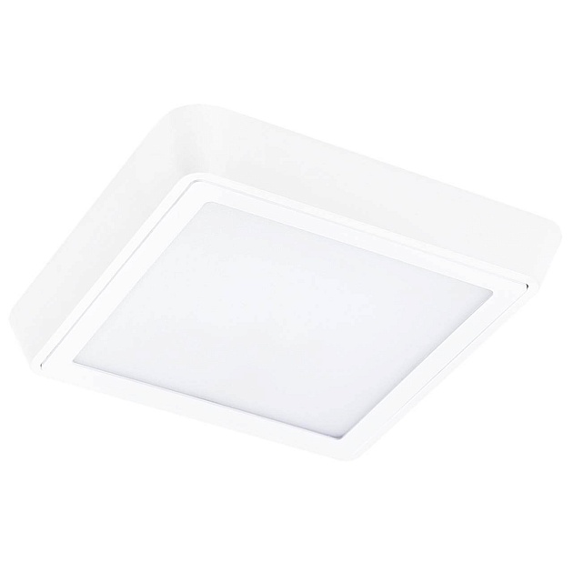 Потолочный светодиодный светильник Lightstar Urbano 216804 Фото № 1