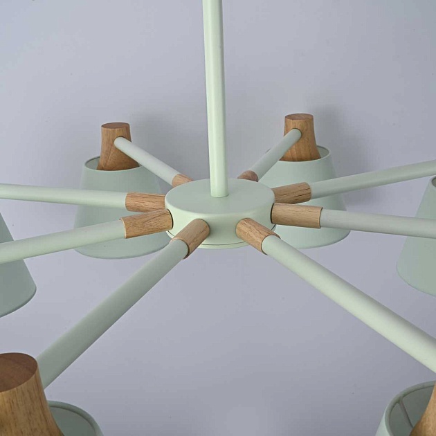 Подвесная люстра Imperium Loft Natura 177992-26 Фото № 9