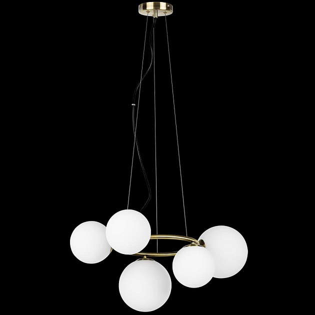 Подвесная люстра Lightstar Globo 815051 Фото № 2