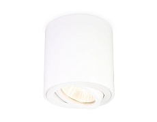 Потолочный светильник Ambrella light Techno Spot TN22701 1