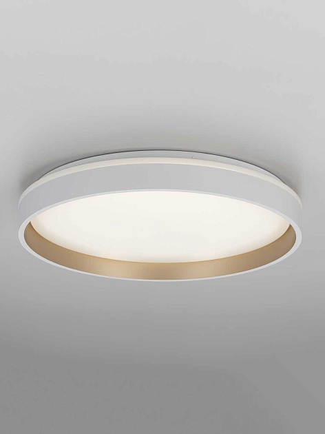 Светильник потолочный Citilux ENZO CL753450G Фото № 7