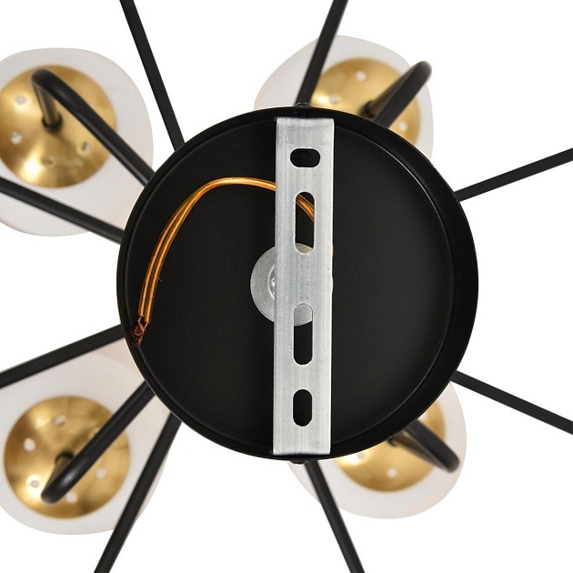 Люстра Lumion ELRONA 8375/12C Фото № 3