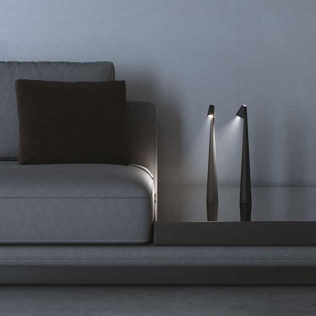 Настольная лампа Elektrostandard Elite TL70250 a068070 Фото № 4