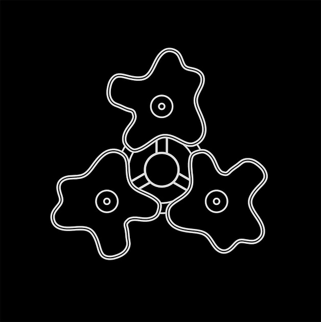 Потолочная люстра Lightstar Nubi 802030 Фото № 4