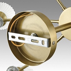 Потолочная люстра Lumion Classi Aurica 8046/8C 3