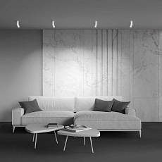 Светодиодный спот Maytoni Dafne C027CL-L10W 3