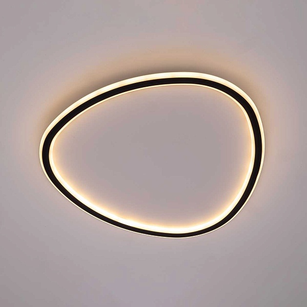 Потолочный светодиодный светильник Citilux Trio CL215B251E Фото № 13