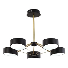 Потолочная светодиодная люстра Evoluce Valle SLE6005-402-05 1