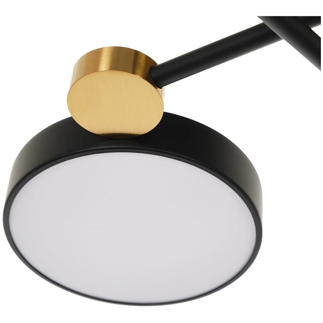 Потолочная светодиодная люстра MyFar Mandy MR1230-6CL Фото № 3