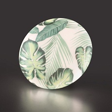 Настенно-потолочный светодиодный светильник Sonex Pale Flori 7748/CL 4