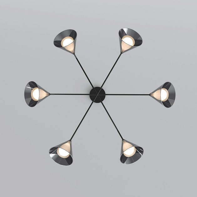 Подвесной светильник Eurosvet Enigma 70161/6 черный изображение 3 Подвесной светильник Eurosvet Enigma 70161/6 черный Фото № 3