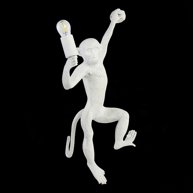 Бра Evoluce Tenato SLE115111-01 изображение 3 Бра Evoluce Tenato SLE115111-01 Фото № 3