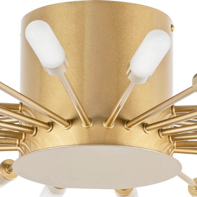 Потолочная люстра Lightstar Ragno 732283 Фото № 4