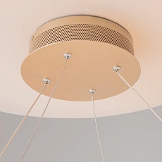 Подвесной светодиодный светильник Maytoni Chain MOD017PL-L50MG 2