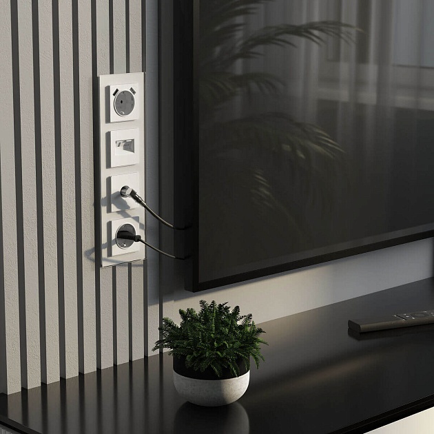 ТВ-розетка Werkel белый W1183061 4690389192296 изображение 3 ТВ-розетка Werkel белый W1183061 4690389192296 Фото № 3