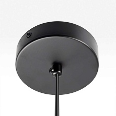 Подвесной светильник Citilux ORTON CL202022 2