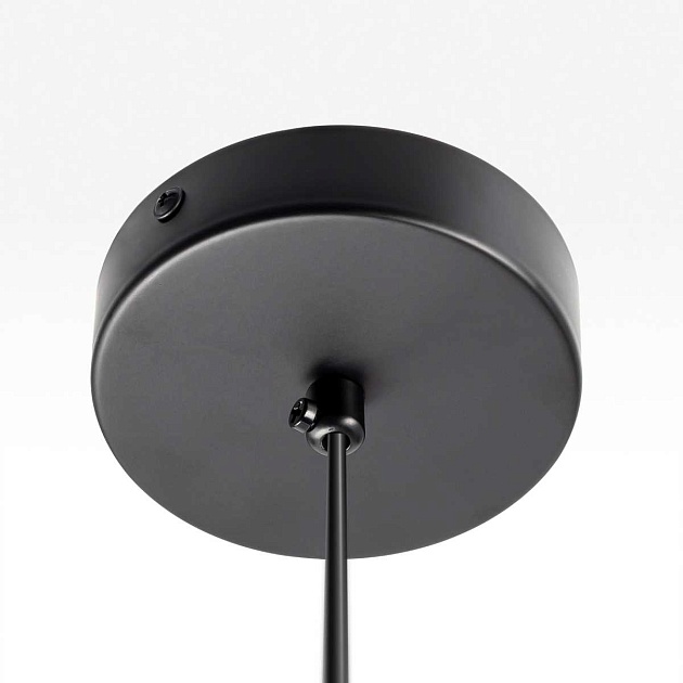 Подвесной светильник Citilux ORTON CL202022 Фото № 3