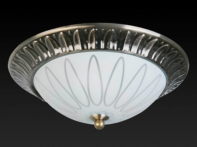 Накладной светильник Toplight Paulina TL5050Y-02AB Фото № 3