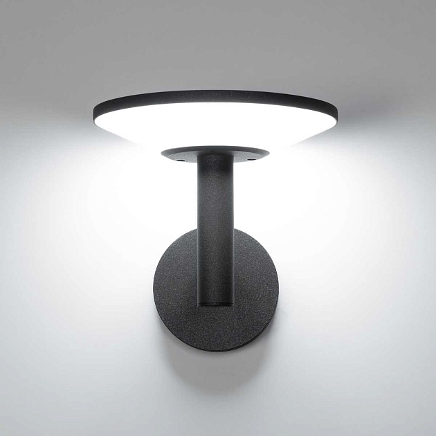 Уличный настенный светильник Citilux Dorn CLU05W Фото № 11