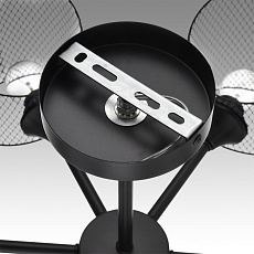 Потолочная люстра Lumion County Tidina 8238/6C 2