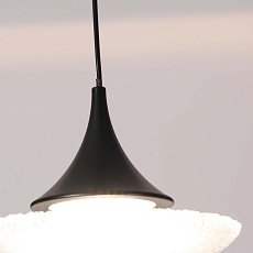 Подвесной светодиодный светильник Favourite Wilet 4656-1P 5