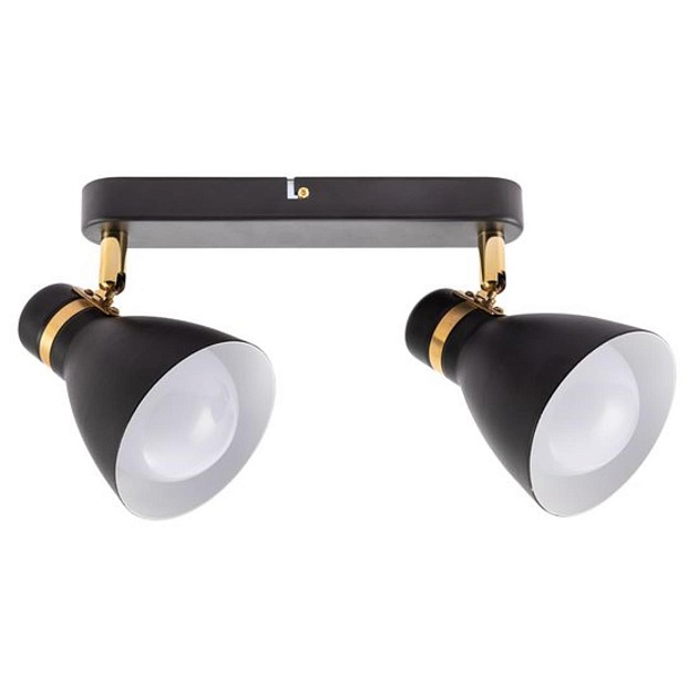 Спот Arte Lamp Fafnir A5047PL-2BK изображение 1 Спот Arte Lamp Fafnir A5047PL-2BK Фото № 1