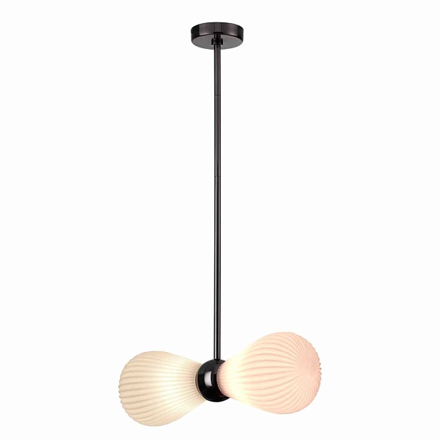 Подвесная люстра Odeon Light Exclusive Elica 5418/2 изображение 2 Подвесная люстра Odeon Light Exclusive Elica 5418/2 Фото № 2