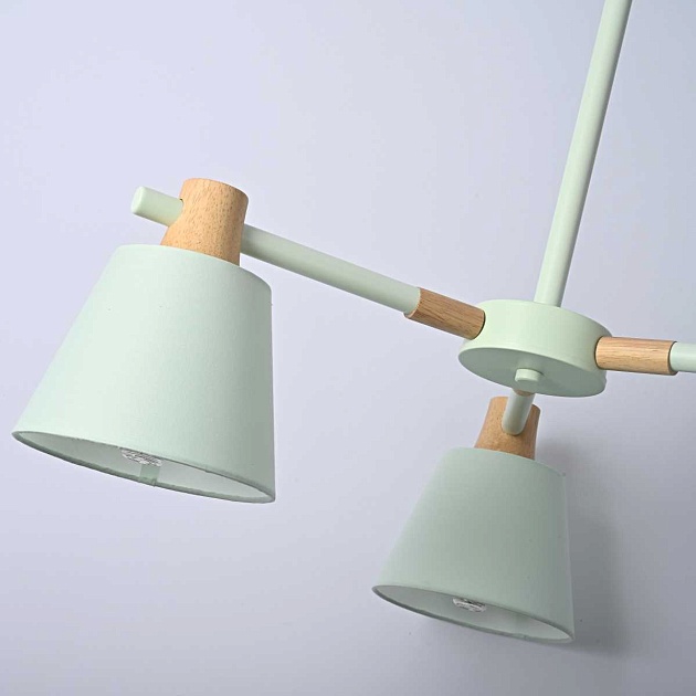 Подвесная люстра Imperium Loft Natura 101824-26 Фото № 9