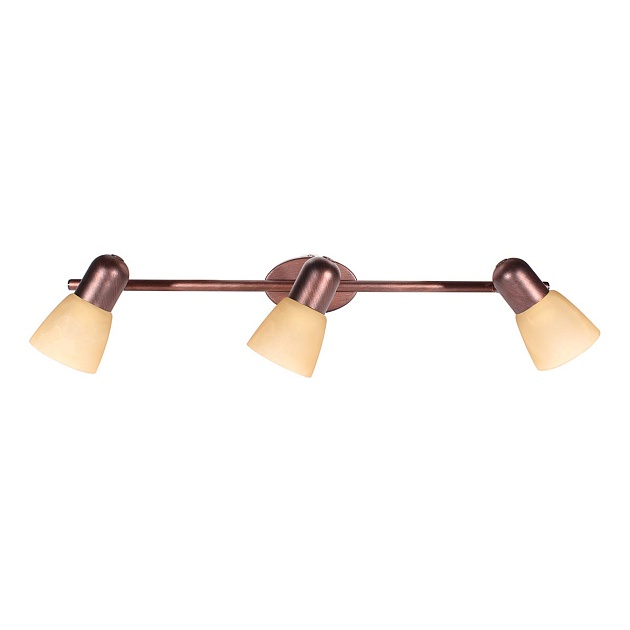 Спот Toplight Maxine TL1235Y-03AB Фото № 1