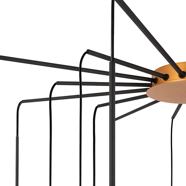 Подвесная люстра Maytoni Branch MOD176PL-16G Фото № 3