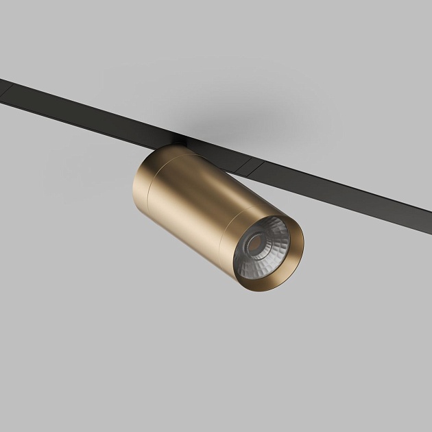 Трековый светодиодный светильник Denkirs Smart Spot DK8020-BG изображение 5 Трековый светодиодный светильник Denkirs Smart Spot DK8020-BG Фото № 5