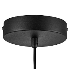 Люстра подвесная Palermo Lightstar 612117 2