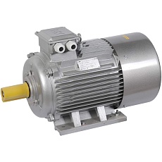 Электродвигатель асинхронный трехфазный АИР 200L6 660В 30кВт 1000об/мин 1081 DRIVE IEK DRV200-L6-030-0-1010