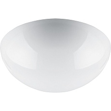 Настенно-потолочный светильник Feron НБП 06-60-002 41402