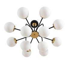 Люстра Lumion ELRONA 8375/12C 3