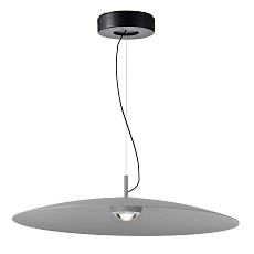 Подвесной светодиодный светильник Favourite Lars 4412-2P