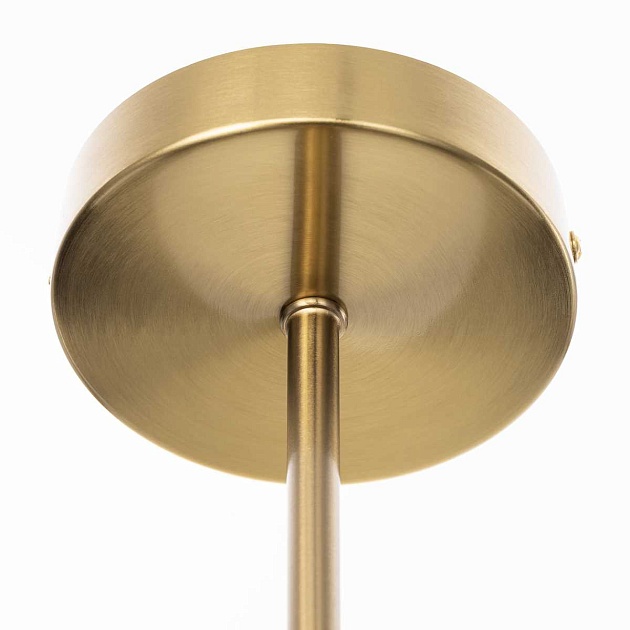 Люстра на штанге Citilux TONGA CL212173 Фото № 5