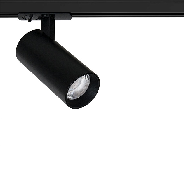 Трековый светильник Arte Lamp BENE A1946PL-1BK Фото № 1