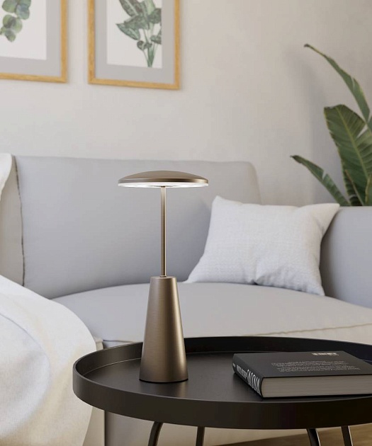 Уличный светодиодный светильник Eglo Piccola 900924 изображение 8 Уличный светодиодный светильник Eglo Piccola 900924 Фото № 8