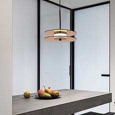 Светильник подвесной Lightera Echuka LE142L-38BR 4