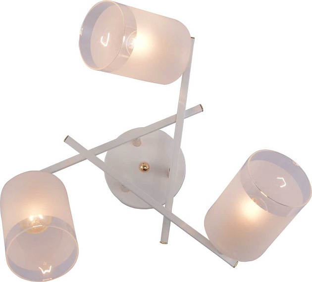 Потолочная люстра Rivoli Tammy 3162-303 Б0059258 Фото № 5