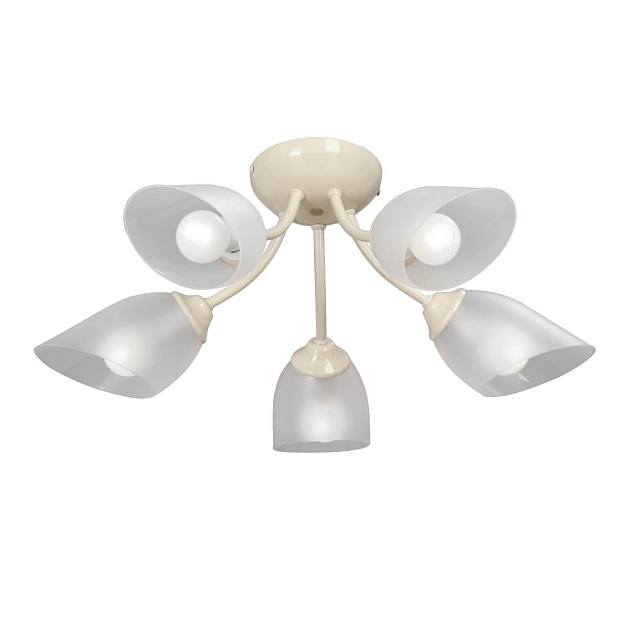 Потолочная люстра Vitaluce V3405/5PL изображение 4 Потолочная люстра Vitaluce V3405/5PL Фото № 4