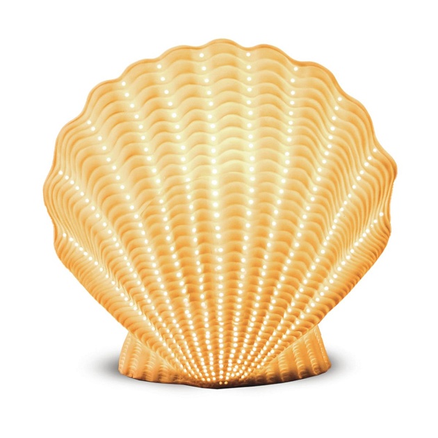 Настольная лампа Apeyron Ракушка с жемчужиной 18-105 Фото № 4