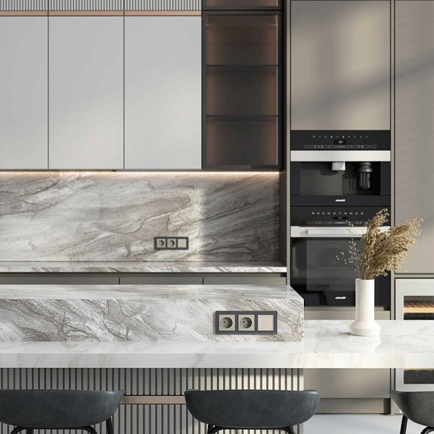 Розетка с заземлением (дымчатый) W1271004/ a069462 Фото № 2