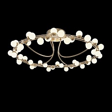 Потолочная светодиодная люстра Maytoni Tessara MOD081CL-L48G3K 2