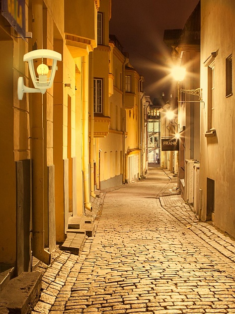 Уличный настенный светильник Apeyron Дели 11-150 Фото № 4